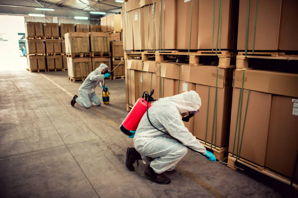 Best Affordable Pest Control Services  in Anna, OH
