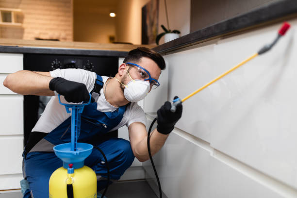 Best Pest Removal Services  in Anna, OH